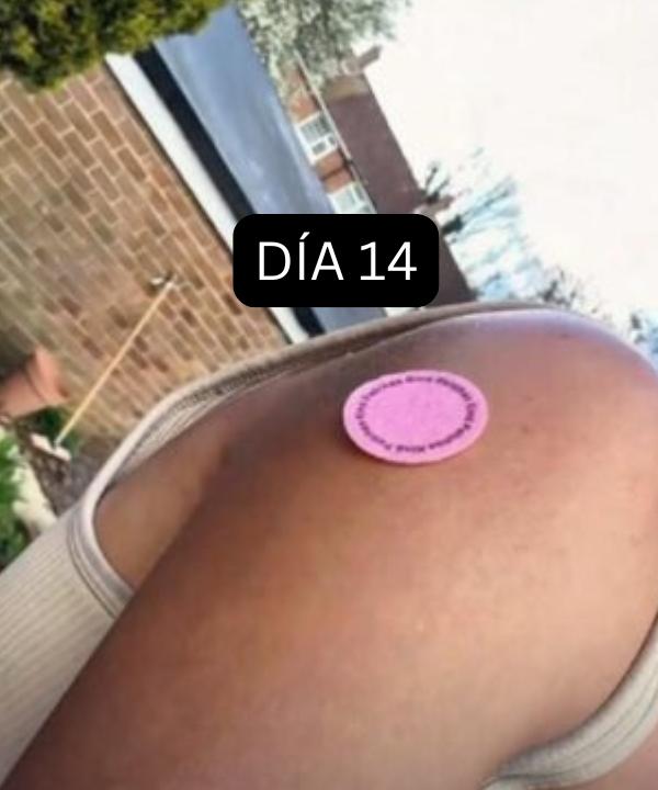 <h2>Historias Reales de Mujeres Reales</h2>