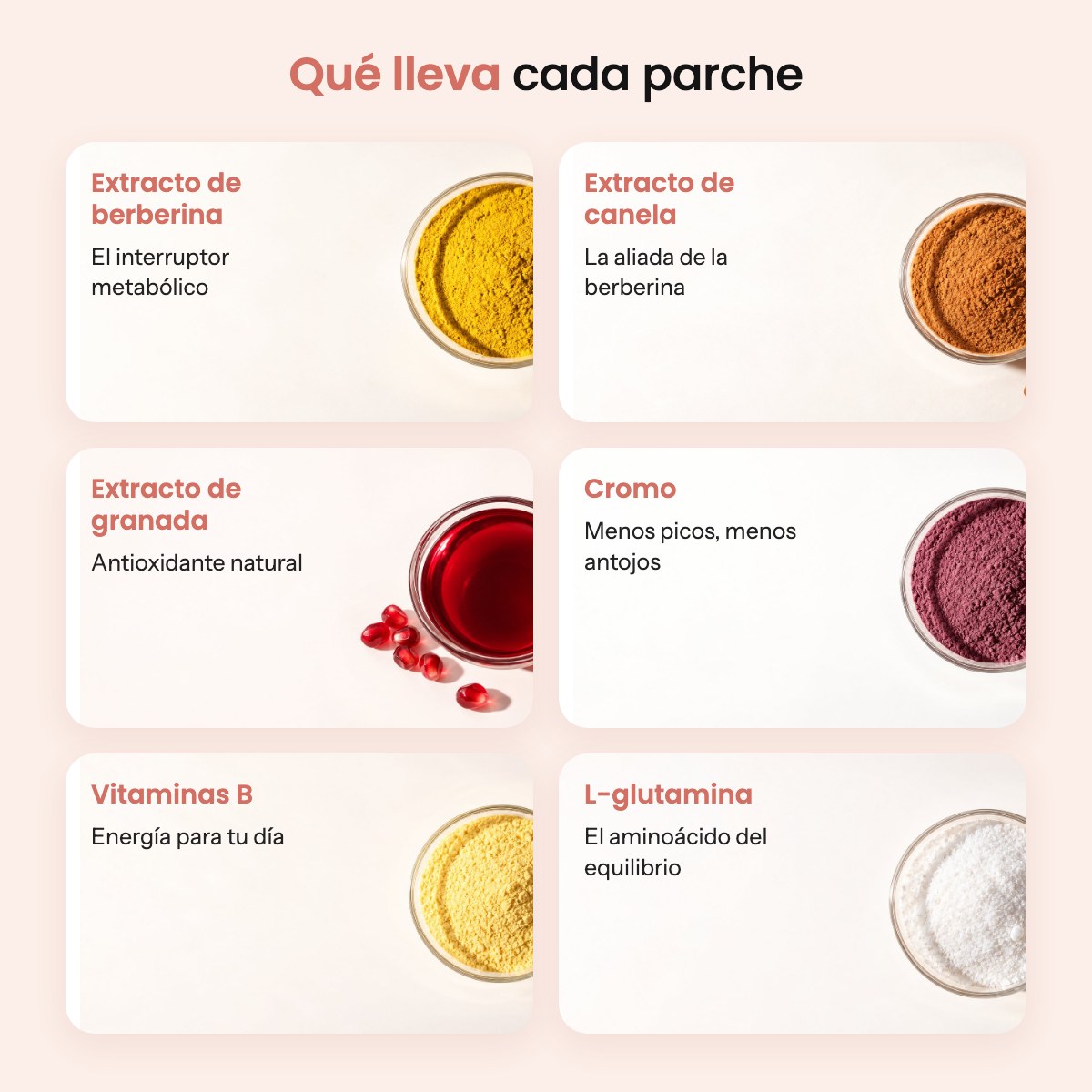 Qué lleva cada parche
