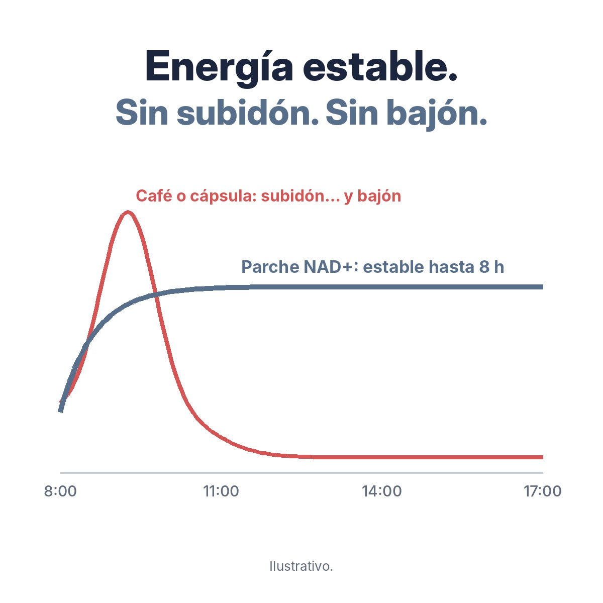 Energía estable sin subidón ni bajón