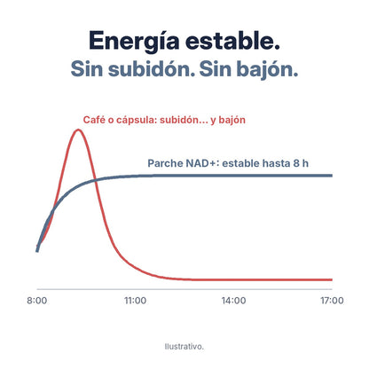 Energía estable sin subidón ni bajón