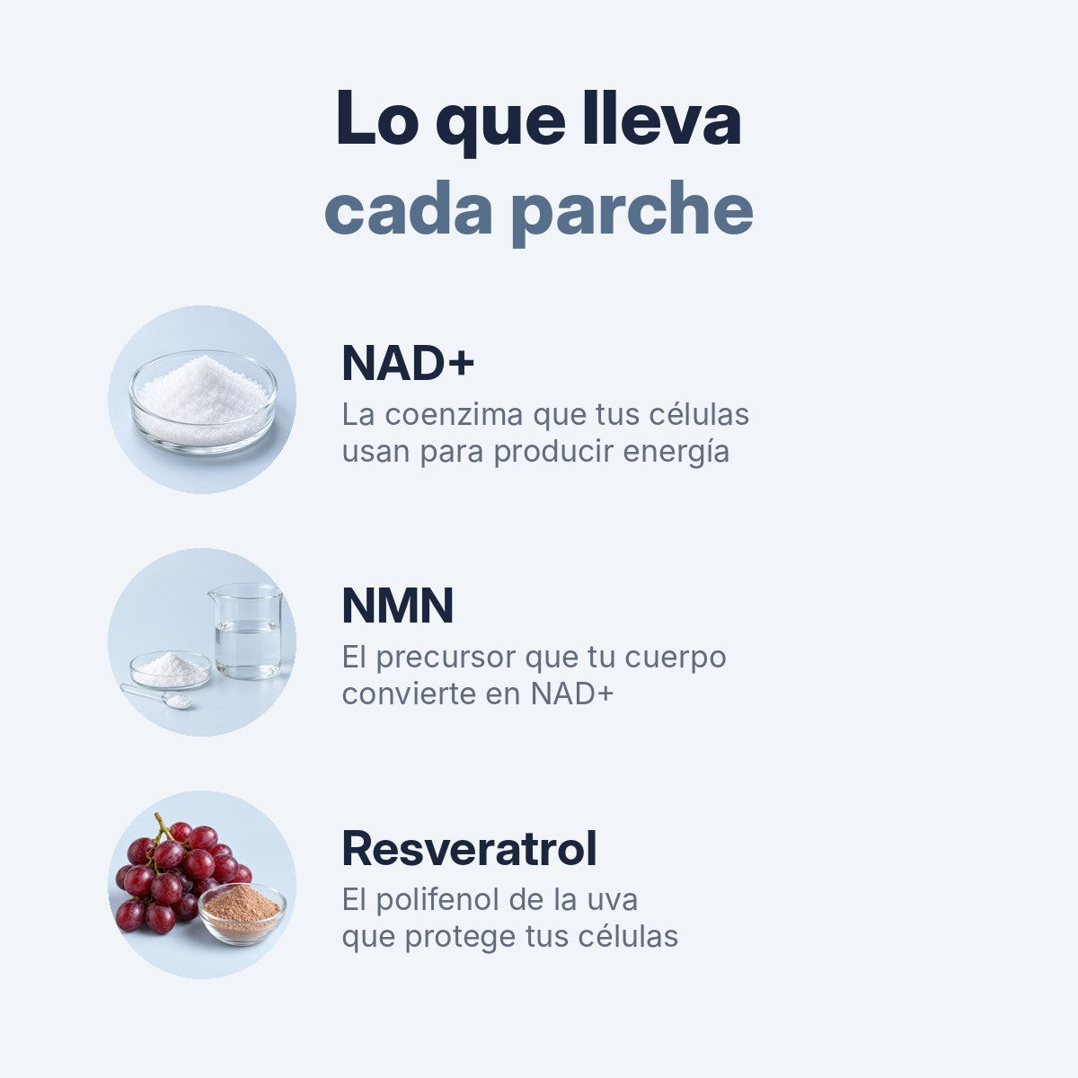 Ingredientes: NAD+, NMN y resveratrol