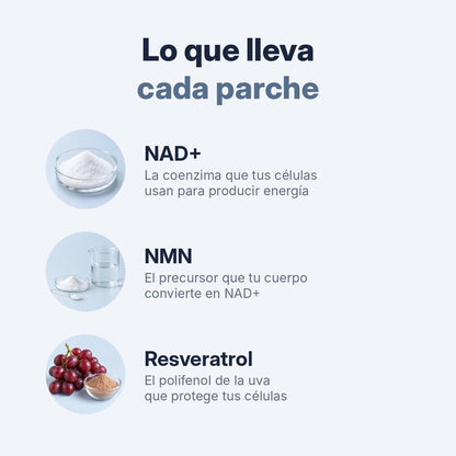 Ingredientes: NAD+, NMN y resveratrol